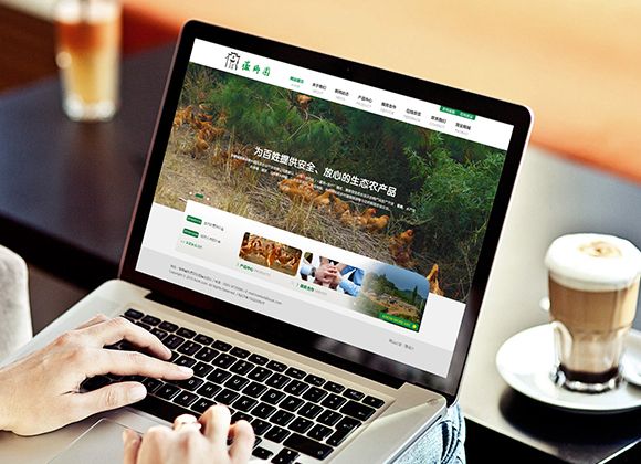 闵行网站关键词排名优化_seo
