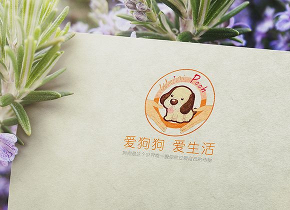 申请微信公众号认证和不认证的区别（公众号不认证会怎么样）